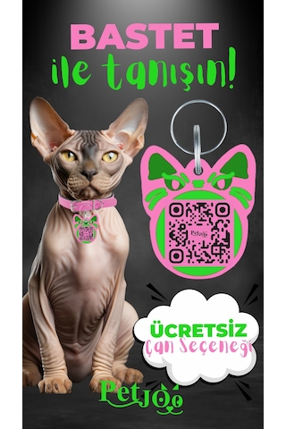 Petjoo 1.Bastet Yeşil-Pembe Qr'lı Kedi Künyesi