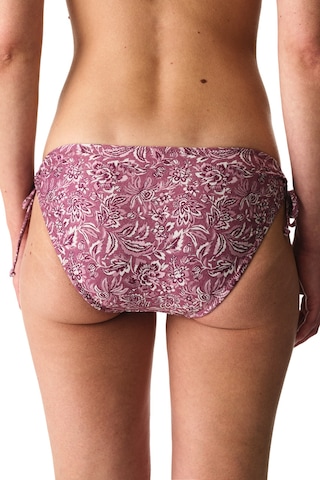 Penti Renkli Rosa Ring Bikini Altı