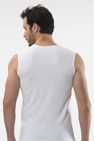 Cacharel 1304 Spor Erkek V Yaka - Beyaz Beyaz