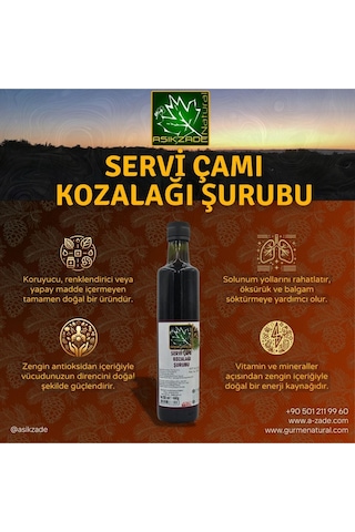 Aşıkzade Çam Kozalağı Şurubu 500ml