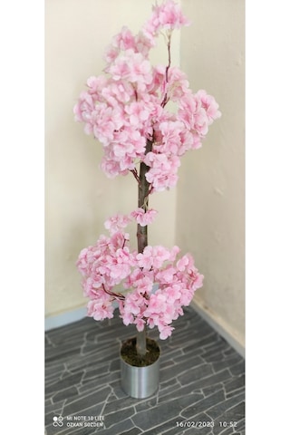 Rüzgar Çiçekcilik 1 Metre Pembe Renk Bahardali Pembe