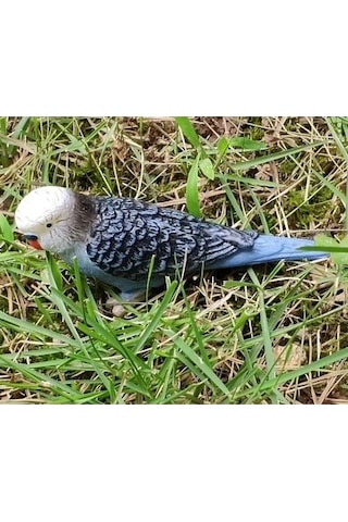 Lijinxu Magideal Minyatür Hayvanlar Kuşlar Modeli Heykelcik Papağan-2