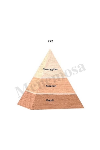 Bargello 272 Kadın Parfüm EDP 50 ML Floral - Mnms50EDP272 Aromatik