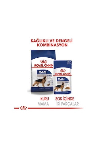 Royal Canin Maxi Adult Büyük Irk Yetişkin Köpekler İçin Parça Etli Konserve Mama 140 Gr