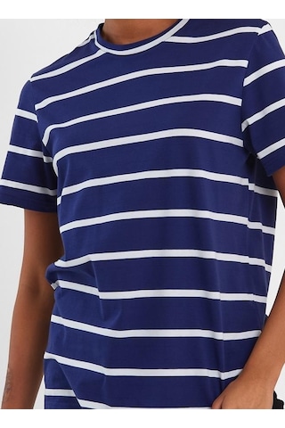 Alexander Gardi Alexandergardı Çizgili Regular Fit T-shirt E23-00148 001