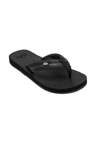Quiksilver Carver Squısh Erkek Ayakkabı Aqyl100886-qk.kvj3 001