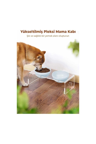 Gobypet 2'li Mavi Seramik Dekoratif Kedi Köpek Pleksi Mama & Su Kabı Paspas