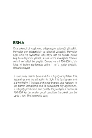 Ata Tohumu Yerli Doğal Küçük Bamya 100 Adet Tohum