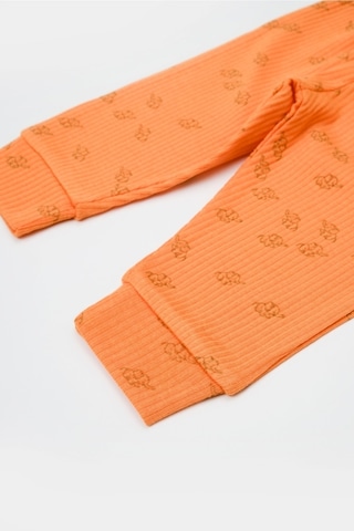 BabyCosy Organik Modal Fil Baskılı 3 Lü Set Csym25505 001