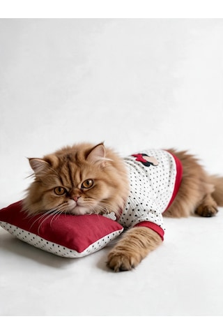 Polka Dot Rouge Minny Kedi Uyku Seti Siyah Beyaz Puantiyeli Penye Kedi Tulumu Ve Mini Yastık 2 Parça