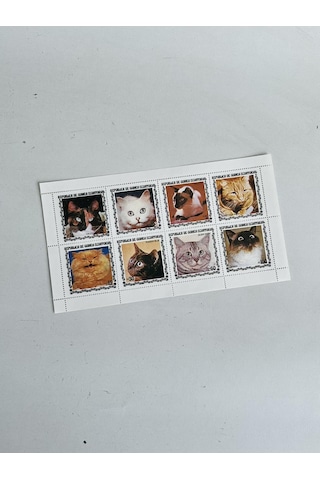 Kedi Temalı Ekvator Ginesi Damgasız 8'li Blok Pul