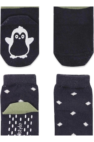 Bistyle Hayvan Figürlü Kaymaz Erkek Soket Çorap 2'li Bs10119 Antrasit Antrasit