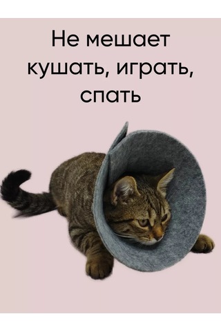 Gurenkot Kediler Ve Köpekler İçin Veterinor Yatağı 148252935