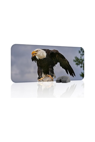 Kartal Oyuncu Gaming Mouse Pad Kauçuk Kaymaz Taban Mousepad V2, 70x30 Xl