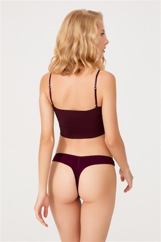 Basic Pamuklu Kadın Tanga Külot 7'li Paket Renkli-7 Çok Renkli