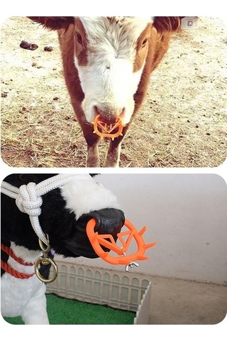 Lijinxu Sığır Sütten Kesme Burun Halkası 9.2cmx7.5cm-sarı