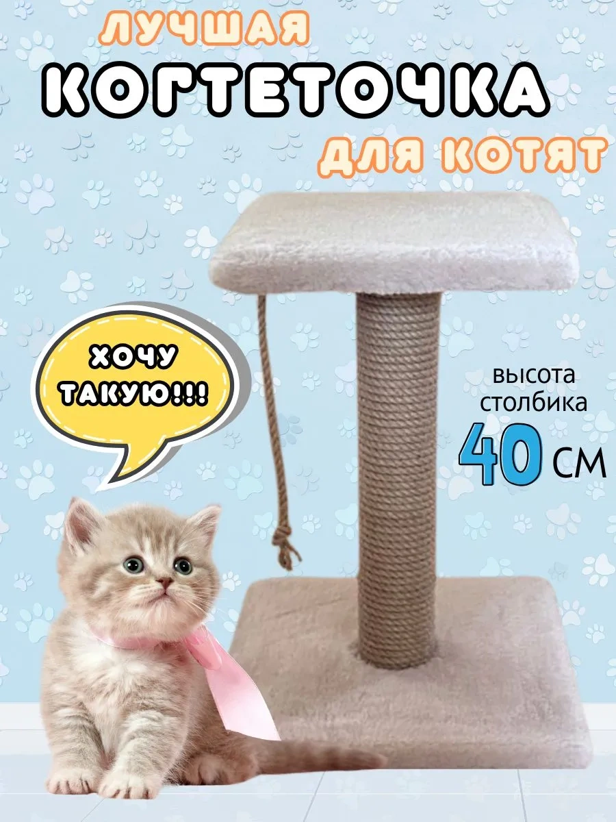 Mr Cat Yavru Kediler İçin Tırmalama Direği 343531753