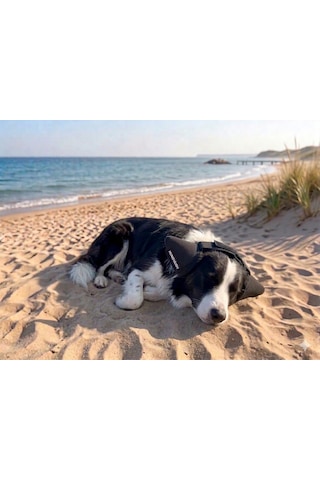 Köpek Kulaklığı Gürültü Önleyici Su Geçirmez Xs-s-m-l