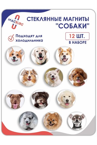 Magburg Buzdolabı İçin Cam Mıknatıslar 3d Köpekler 2 399492785