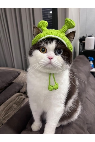 Busako Cat Özel Tasarım Kedi Kıyafeti Yeşil Busako Cat Özel Tasarım Kedi Kıyafeti Yeşil