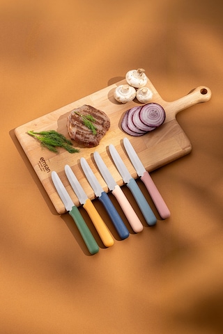 Emsan Rustik 6'lı Steak Bıçak Seti Renkli