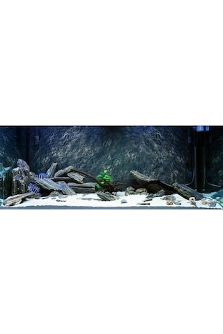 10 KG Gnays Kaya Doğal Dekoratif Simli Gnays