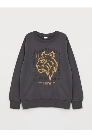 Aslan Desenli Erkek Çocuk Sweatshirt Füme
