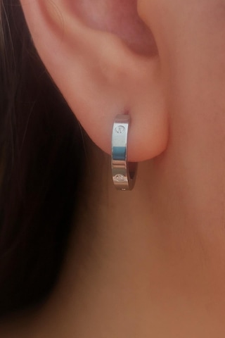 Allmisse Kaplama Çelik Küpe Standart Gümüş