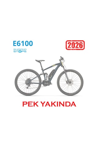 Wrc Shake E-mtb 29 Dağ Bisikleti Mavi L/48cm Siyah