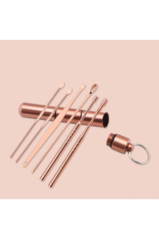 Gajeena 6'li Paslanmaz Çelik Kulak Temizleme Seti - Taşınabilir Spiral Kulak Kaşığı Seti Gümüş