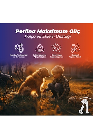 Perlina Kalça Ve Eklem Destek Tablet