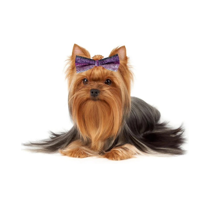Show Tech Köpek Süs Papyonu Simli Dickie Bow 10 Parça Diğer