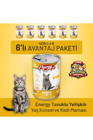 Energy Tavuklu Yetişkin Yaş Kedi Maması 400 G - 6 Adet