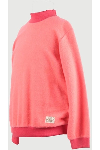 Alexandergardi Alexandergardı Yarım Balıkçı Yaka Çocuk Sweatshirt C19-138927 001 Pembe
