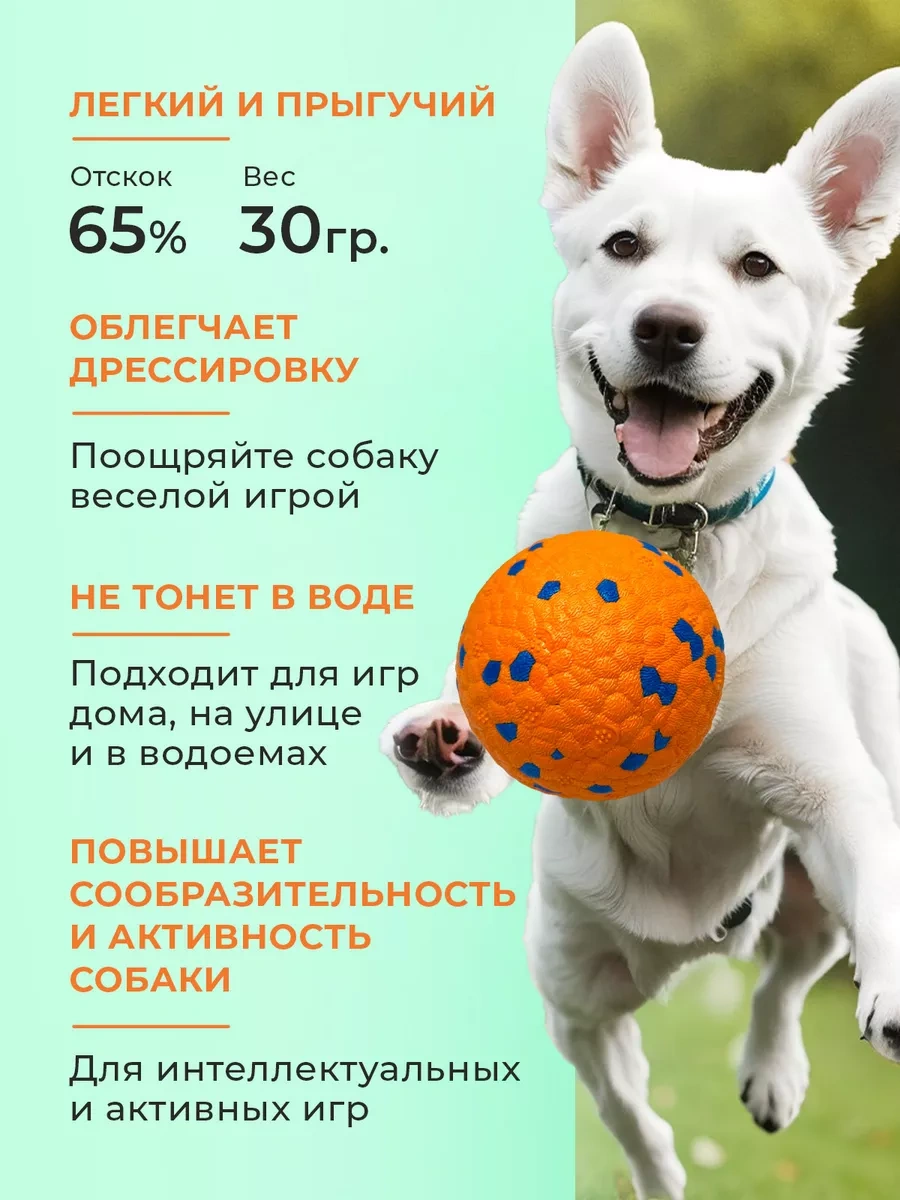 Purrfect Place Köpekler İçin Oyuncak, Süper Dayanımlı Top 201068037