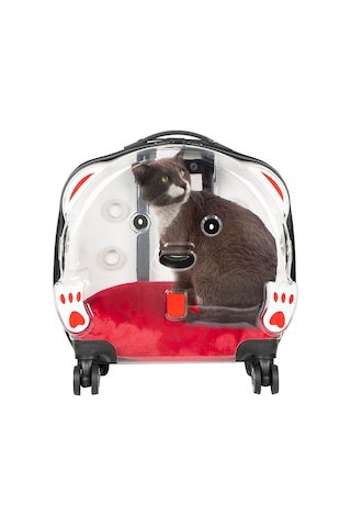 Pawbloom Voyage Şeffaf Tekerlekli Lüks Evcil Hayvan Taşıma Çantası
