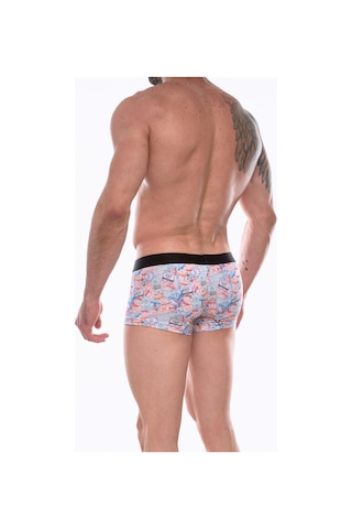 Erkek Çok Renkli Fantezi Giyim Desenli Boxer Hf072211