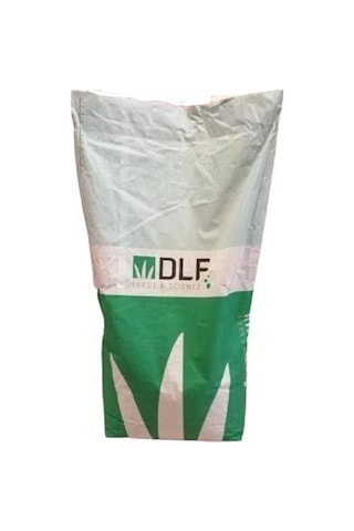 Fare Kulağı TohumuDichondra Repens1 KG