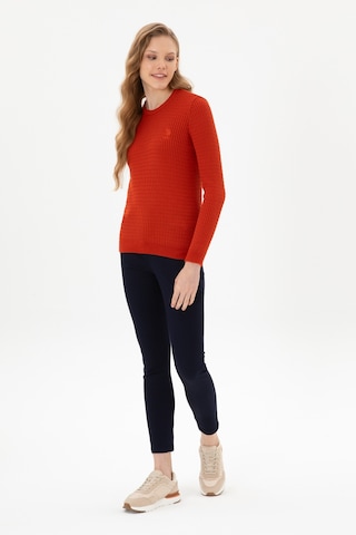 U.S. Polo Assn. Kadın Lacivert Toothpick Fit Kanvas Pantolon 50317139-VR033