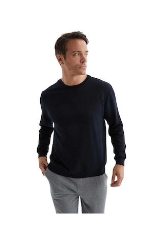 Erkek Bisiklet Yaka Relax Fit Kalıp 2 İplik Mevsimlik Baskısız İnce Sweatshirt Ekru