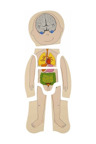 Woody Katmanlı İnsan Vücudu Giydirme Oyunu Ahşap Puzzle Yapboz