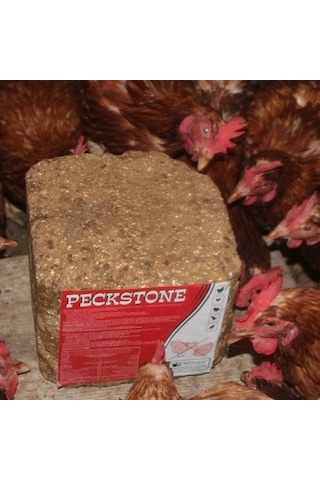 Peckstone 4 Kg Kanatlılar IçinVegagalama Taşı