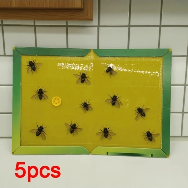 Trendooze Güneşli022 5 Adet A4 Boy Yapışkan Tuzak Ev Bahçe İçin Sinek Güve Yakalama Zehirsiz