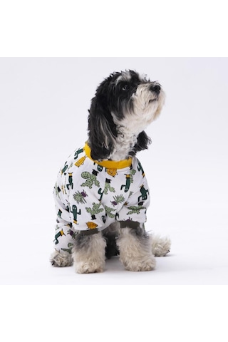Pettrend Kaktüs Desenli Kedi Köpek Kıyafeti Penye Tulum