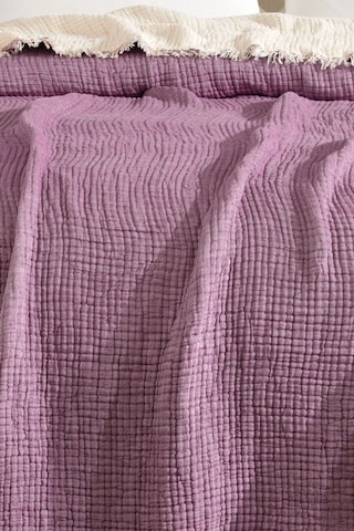 Varol Tek Kişilik 5 Katlı %100 Pamuk Müslin Yatak Örtüsü - Mor Mor/160x230cm Mor