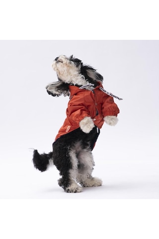 Pawstar Turuncu Pluvia Kedi Köpek Mont Kedi Köpek Kıyafeti