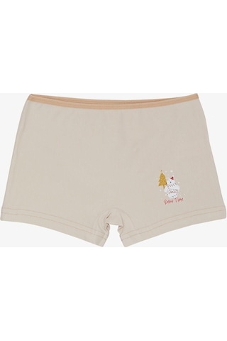 Breeze Kız Çocuk Boxer Kış Temalı Sevimli Ayıcık Baskılı 5-11 Yaş, Bej-bej Bej