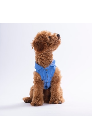 Avo Bliss Denim Avokado Desenli Kot Kedi Köpek Gömleği-kedi Köpek Kıyafeti-kedi Gömlek-köpek Gömlek