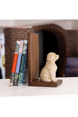Can Dostum Köpeğim Kitap Desteği