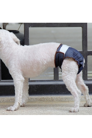 Anti-üzüntü Dişi Köpek Fizyolojik Pantolon İdrar Geçirmez Ve Islak Pet Sızdırmaz İç Çamaşırı, Boyut: L